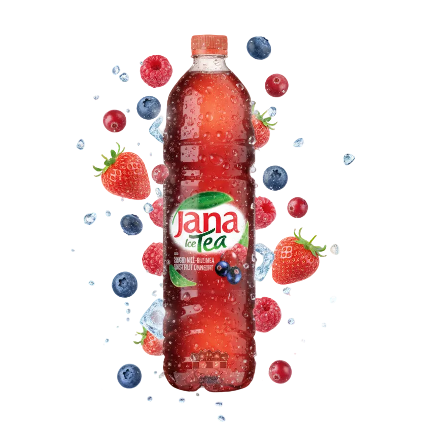 Jana Eistee Waldfrucht 1,5l PET x 6