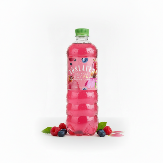 Vöslauer Balance Rote Früchte 0,5L PET x 12